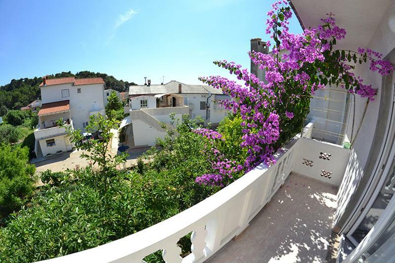 Sloth Apartmán Palit